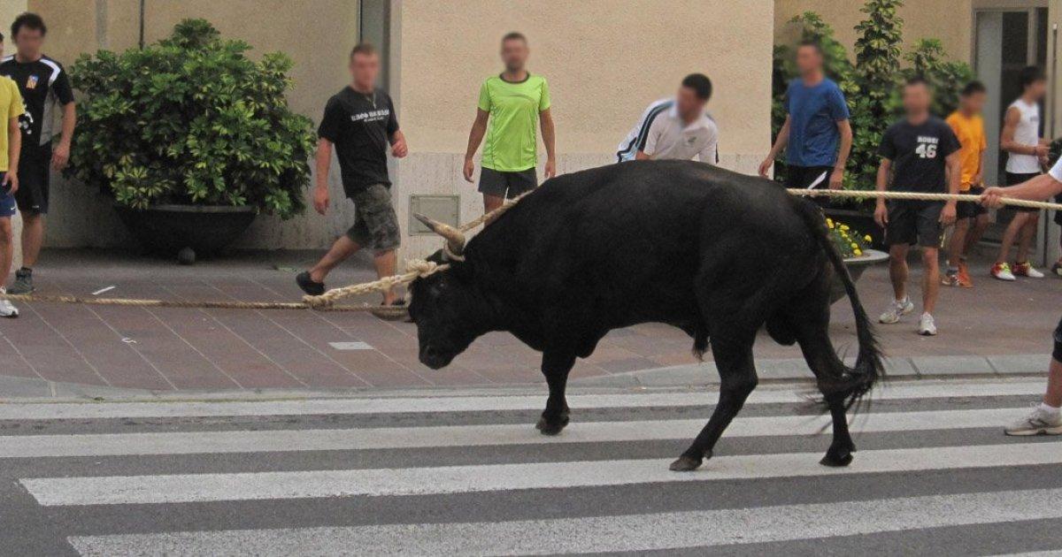Badalona banned from now on the Correbous