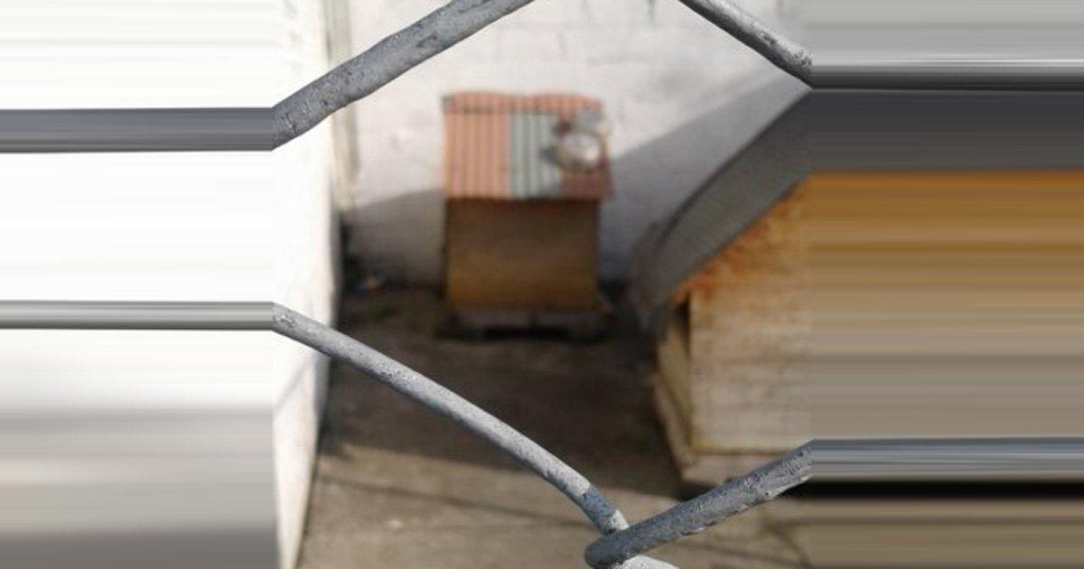 The company in question, Mirocan, has responded wonderfully well to my petition