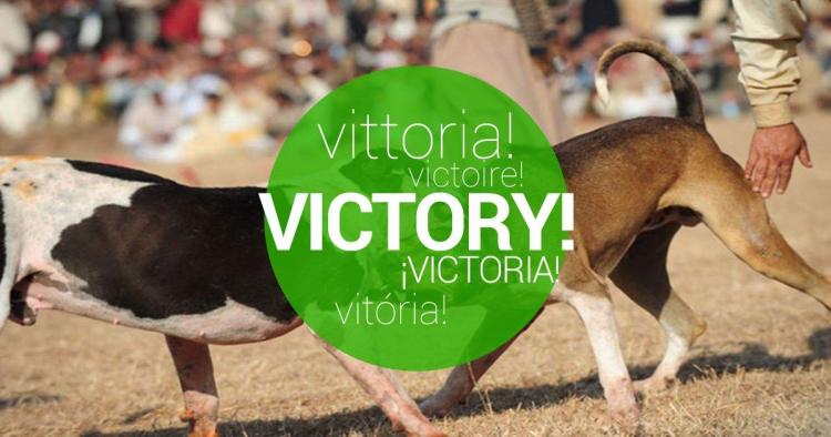 We did it! The Senate banned dog fights throughout Mexico!