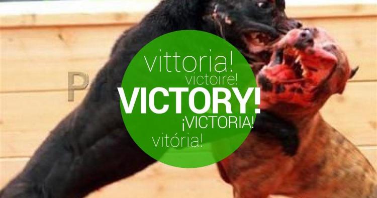 We achieved that the Government ban dogfights!