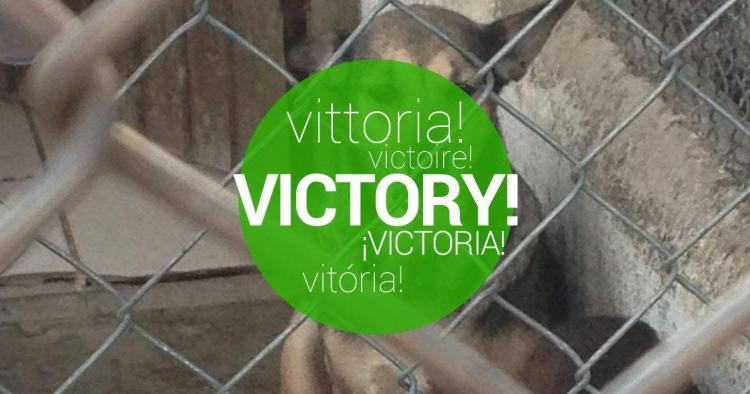 Victory confirmed! Adoption Fair at the Zoonosis Control Center