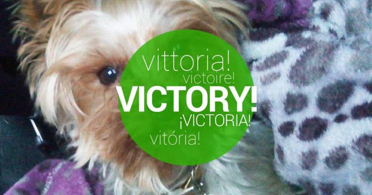 Victoria confirmada! PETER NECESITA TU AYUDA