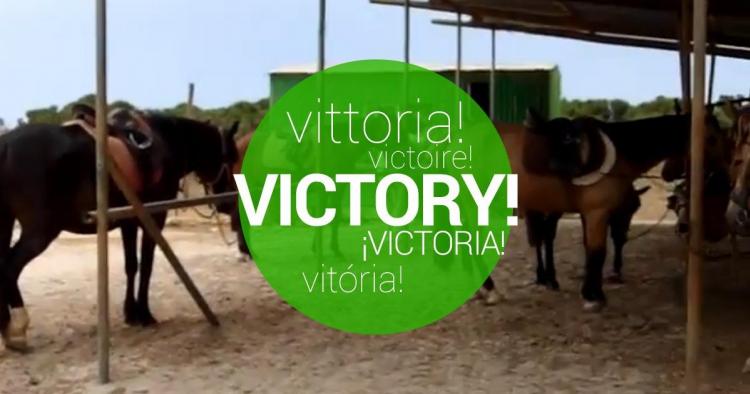 Victoria confirmada! Salvemos a los caballos del maltrato