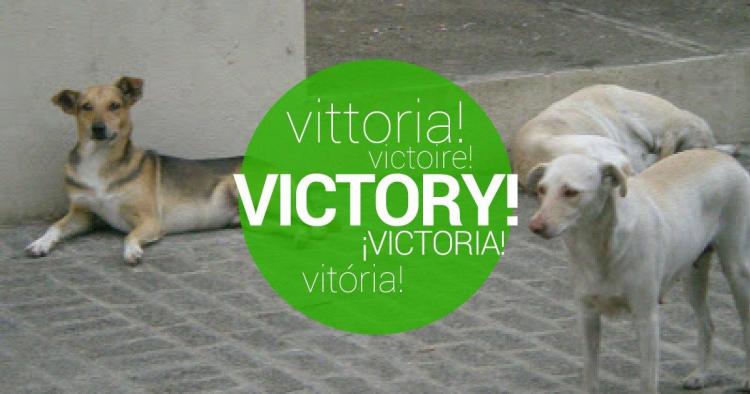 ¡Pedimos construcción de Hospital Veterinario Público en República Dominicana!
