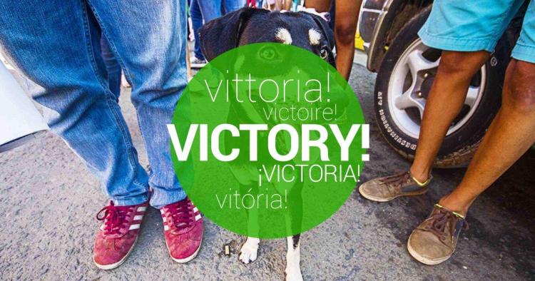 Victoria confirmada! Hagamos una Marcha Contra el Maltrato Animal