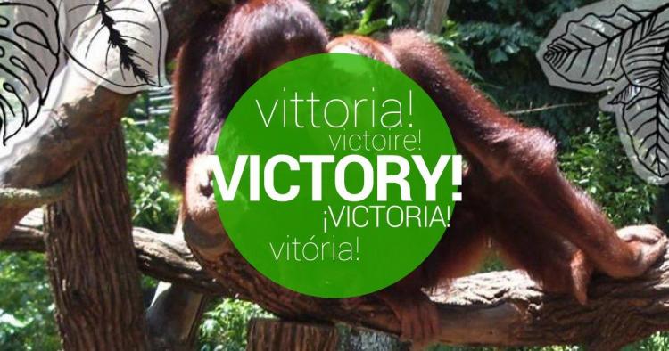 Victoire confirmée! Aider Madame Francine Néago, primatologue de 85 ans, et sa fondation Noé et son arche