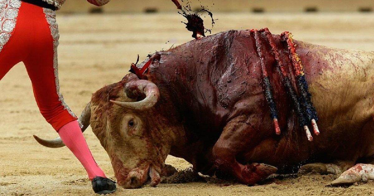 Non à la Tauromachie!
