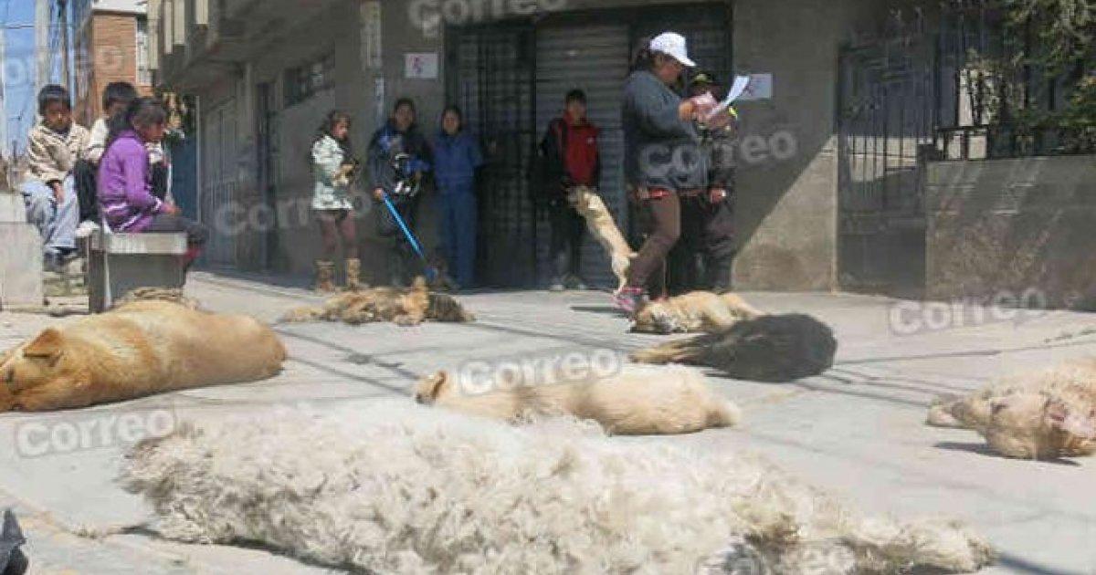 Sanción para el alcalde de Hunter o los que resulten responsables.