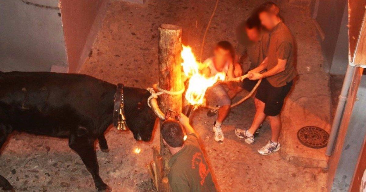 Detengamos las 'bous al carrer' valencianas!