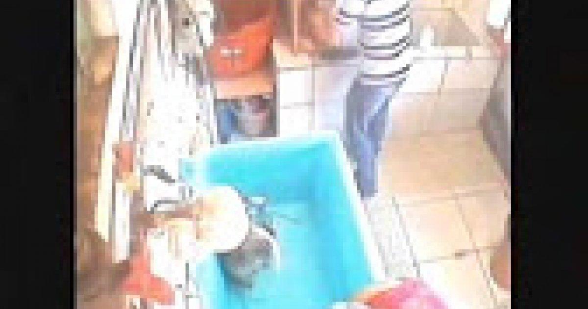 Denuncia contra malos tratos en tienda de animales