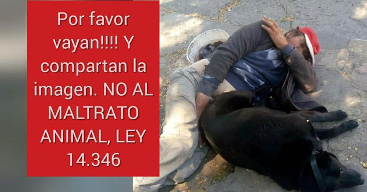 Imprison the serial rapist of dogs of Bariloche!