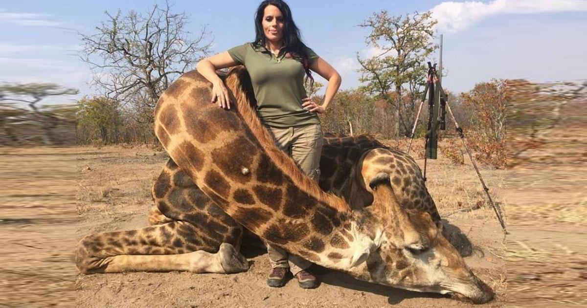  Fighting Against Animal Cruelty! Care2 Groups