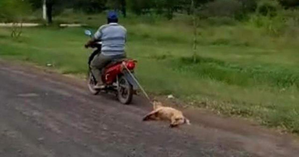 Arrastró a su perro con su moto, queremos justicia por el animal!