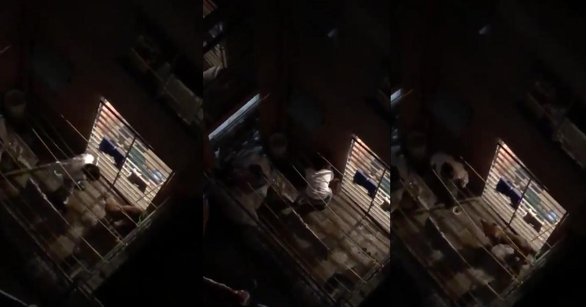 Justice for this little dog who was brutally beaten