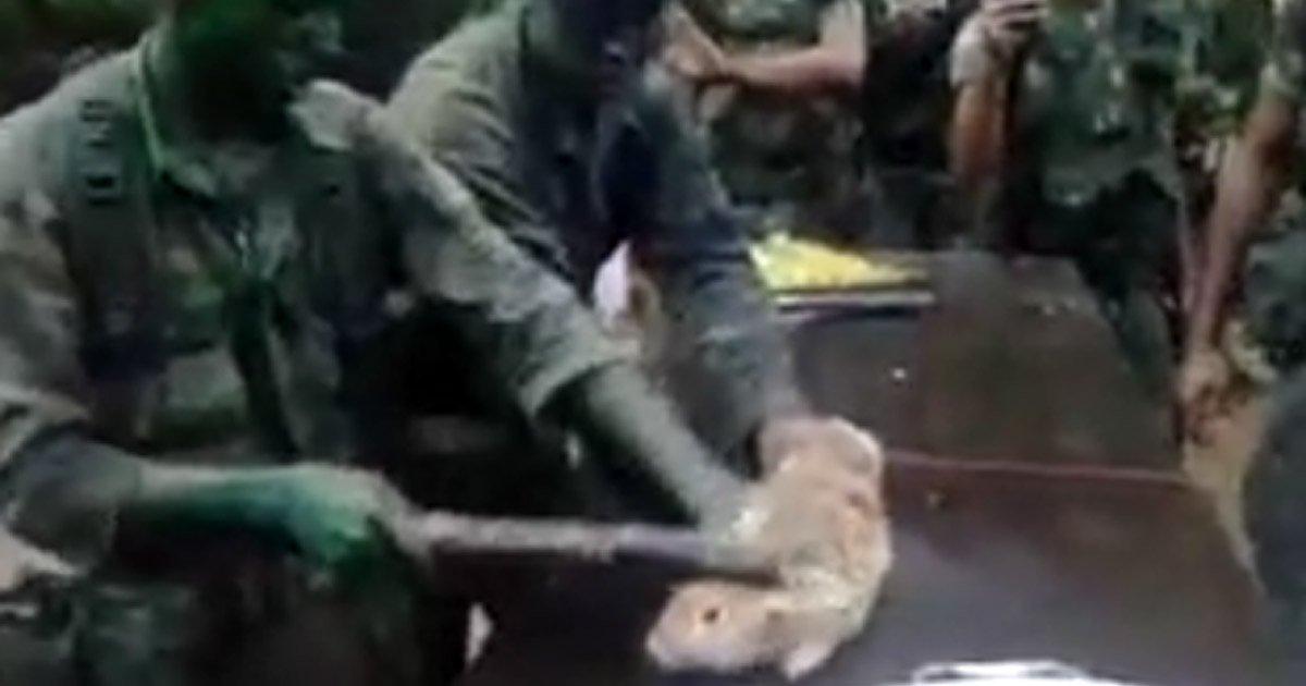 Denuncia: Caso de Maus Tratos Cometido Pelo Exercito Brasileiro